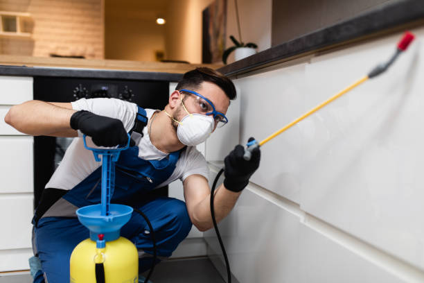 Best Pest Prevention Services  in Biltmore, TN