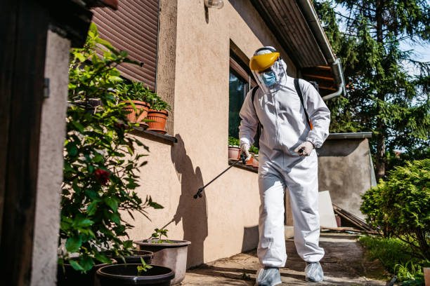 Best Pest Control for Homes  in Biltmore, TN