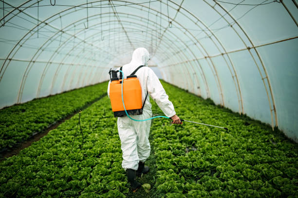 Best Pest Removal Services  in Biltmore, TN