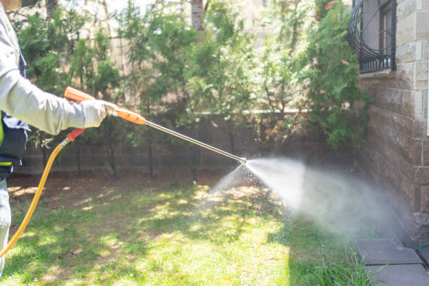 Flea Control Services in Biltmore, TN