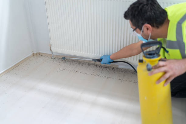 Best Pest Inspection Near Me  in Biltmore, TN