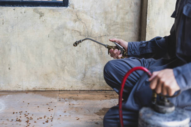 Best Affordable Pest Control Services  in Biltmore, TN