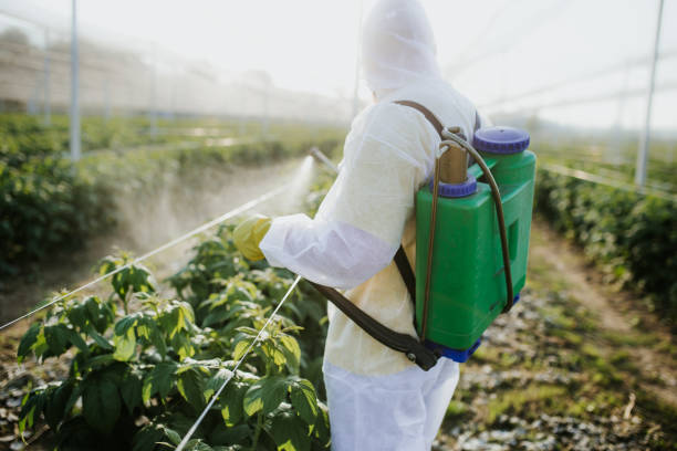 Best Emergency Pest Control  in Biltmore, TN